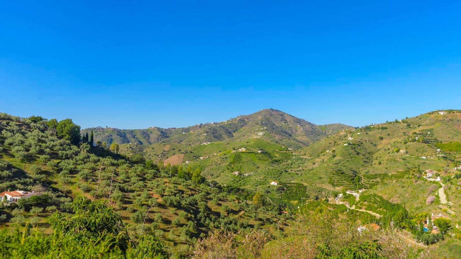 Villa Las Palmeras De Torrox By Ruralidays Buitenkant foto